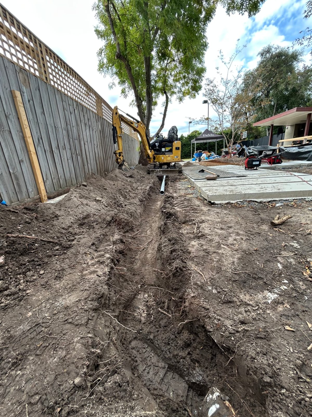 Excavator working the trench line hard against the boundary fence and around the base of a large tree